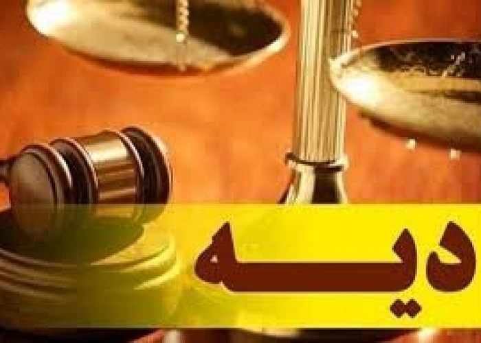 خراسان جنوبی زندانی دیه غیر عمد ندارد
